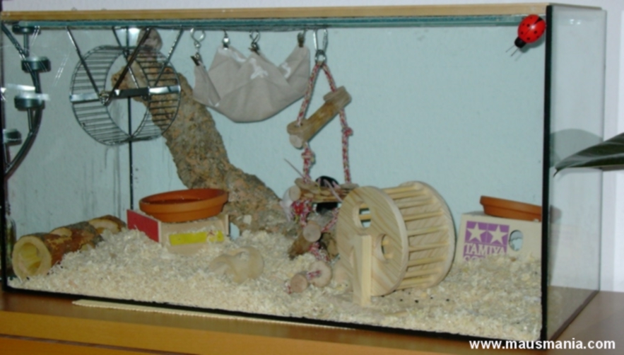 Get Zu haendeln Free HD Zu Haendeln